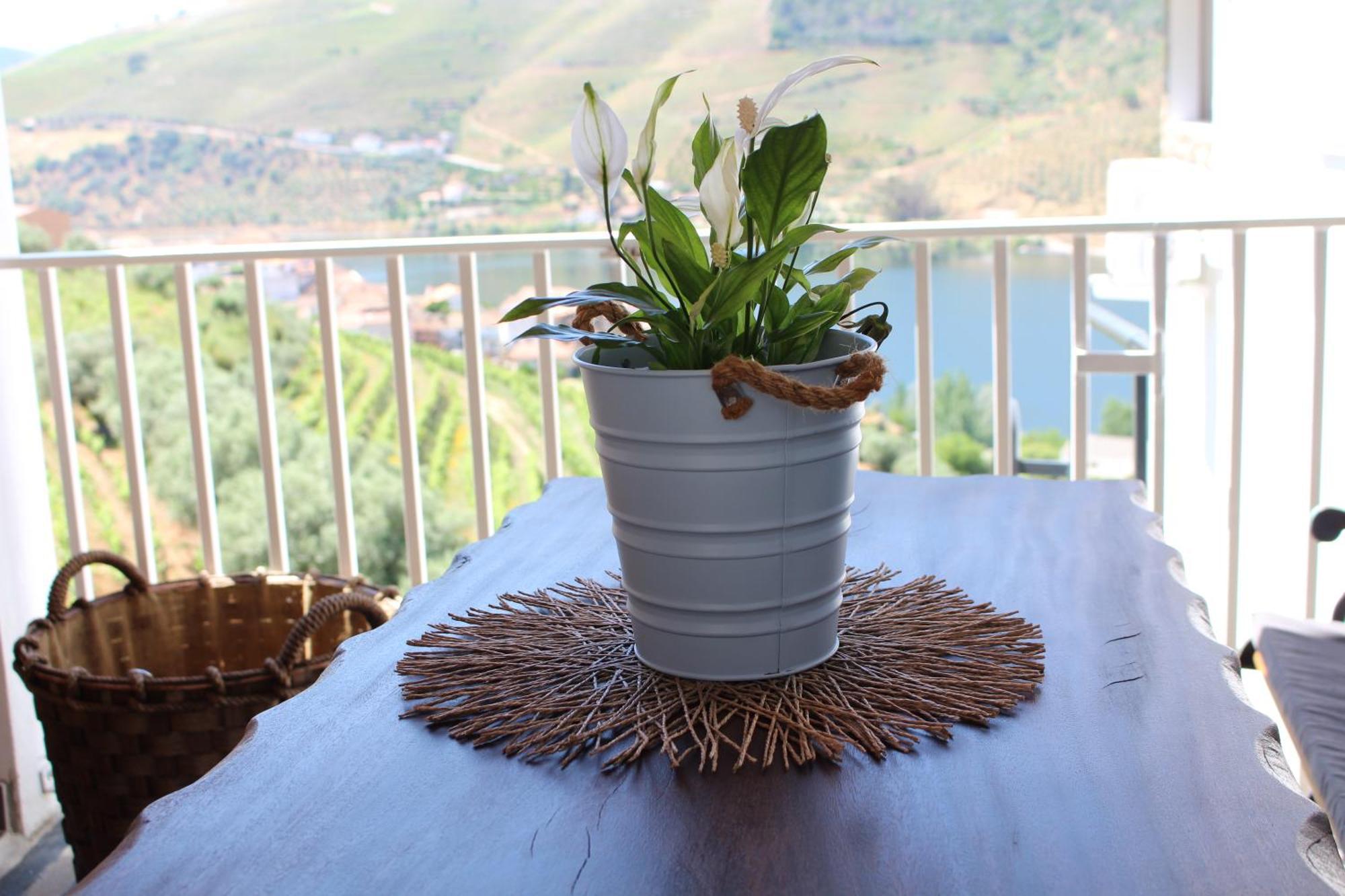 Casa Jose Lourenco Holiday home